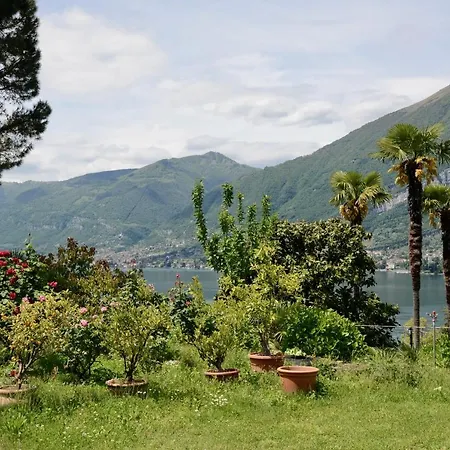 Marena Villa